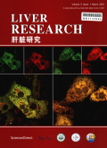 肝脏研究（英文）