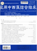 实用中西医结合临床